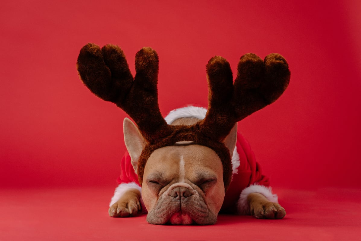 Reindeer Headband - image1